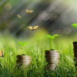The 2024 Autumn Budget – Pension 71% Tax Raid and Strategies for Wealth Preservation